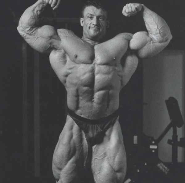 The 1993 Mr Olympia