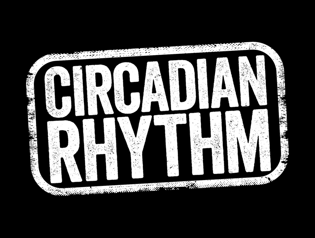 When Should You Workout?