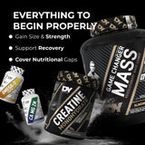 Beginner Transformation Bundle
