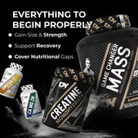 Beginner Transformation Bundle