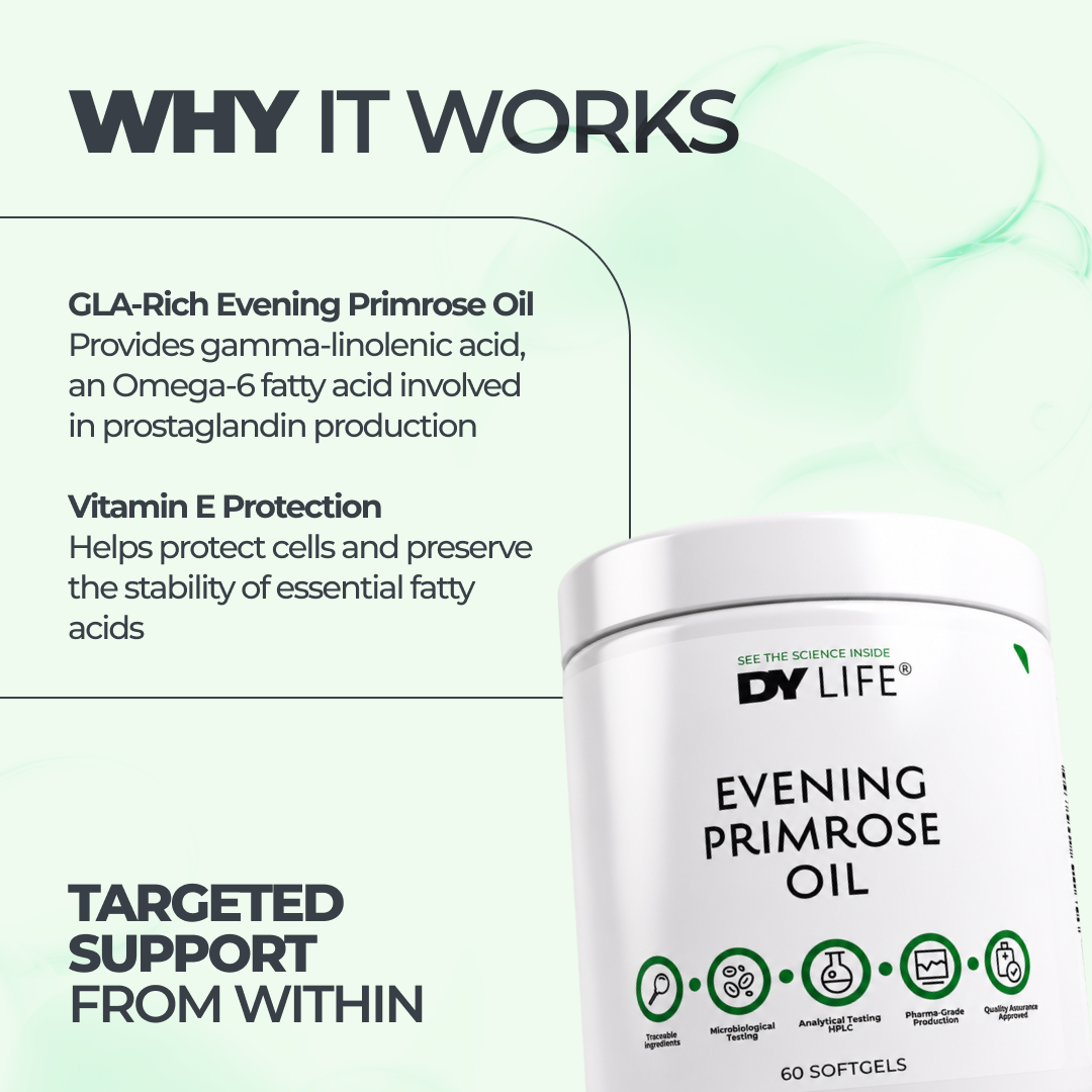 Evening Primrose Oil DY Life, 60 Softgels, 60 Servings