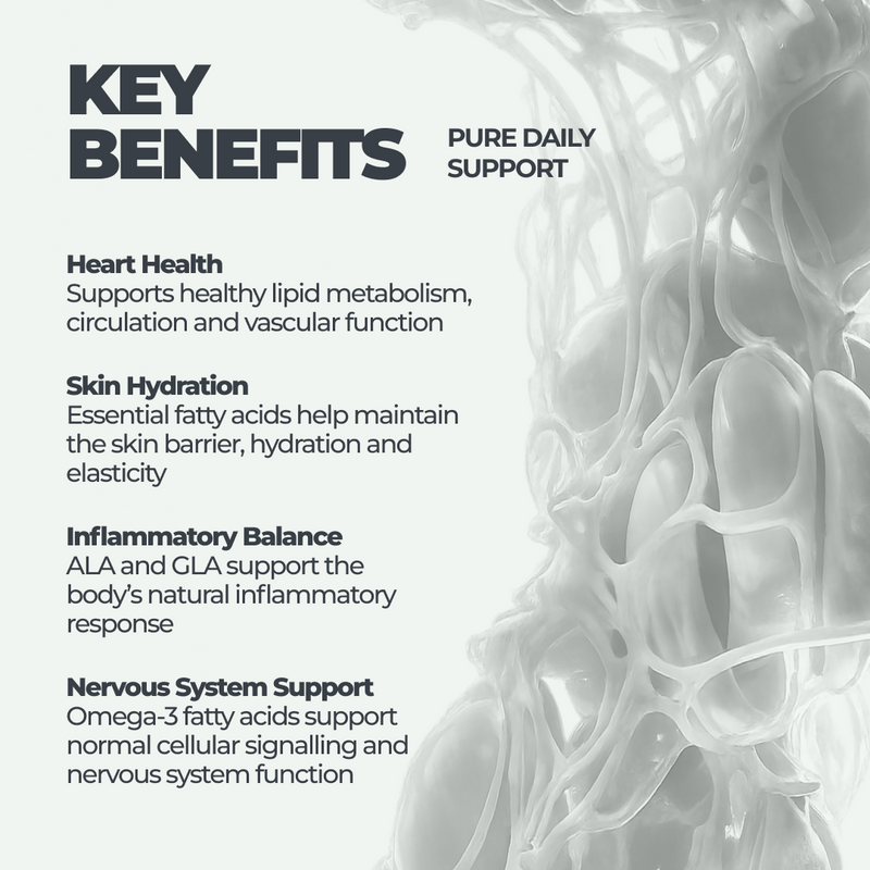 Hemp Oil DY Life, 60 Softgels, 30 Servings