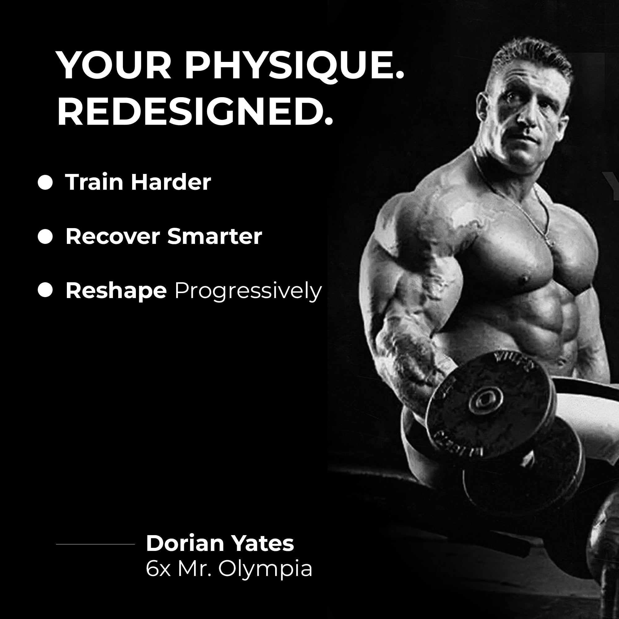 The Body Recomp Bundle