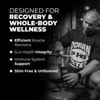 The Glutamine Recovery 300g, 66 Servings